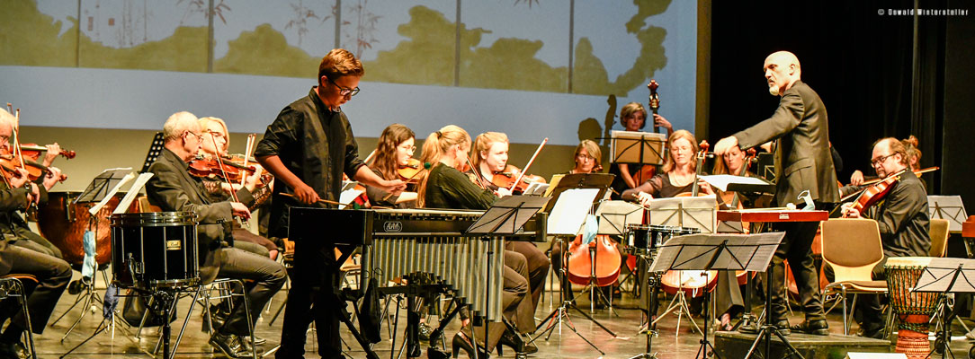 Halleiner Kammerorchester